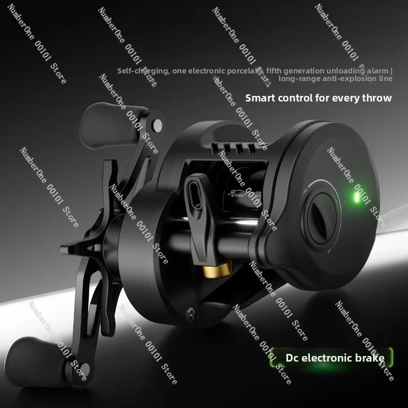 Electronic Magnetic Brake Fish - Electric Reel のレビューと価格